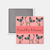 Im Besitz eines siamesischen Magnets Magnet (Vorderseite/Rückseite)