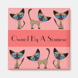 Im Besitz eines siamesischen Magnets Magnet