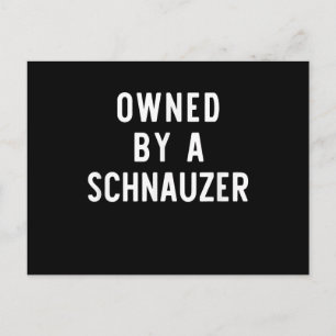Im Besitz von Schnauzer Funny Dog Lover Weihnachts Postkarte