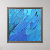 I'm blue - Macaw feathers Leinwanddruck (Vorderseite)
