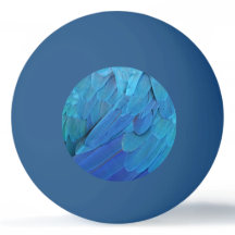 I'm blue - Macaw feathers