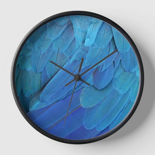 I'm blue - Macaw feathers Uhr (Vorderseite)