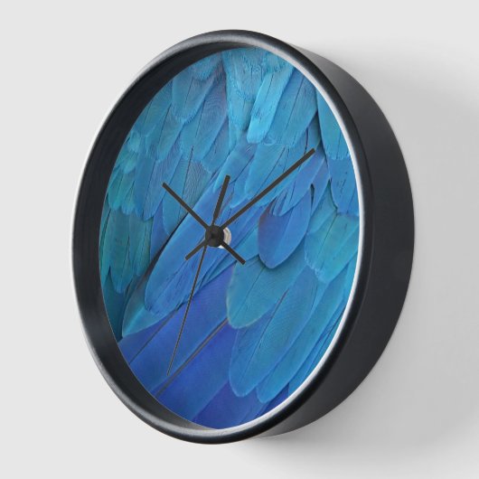 I'm blue - Macaw feathers Uhr (Winkel)