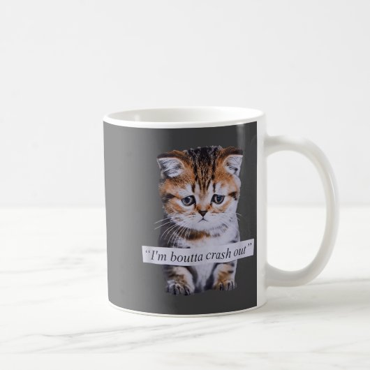 I'm Boutta Crash Out Cat Funny Meme Cat Pet Lover Kaffeetasse (Rechts)