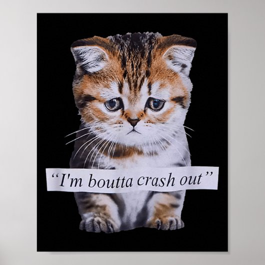 I'm Boutta Crash Out Cat Funny Meme Cat Pet Lover  Poster (Vorne)