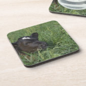 Im chinesischen Tierkreis ist 2009 Jahr des Ochsen Untersetzer (Linke Seite)