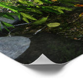 Im Creek Daz Studio digitale Kunst Poster (Ecke)