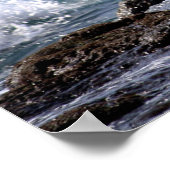 IM CURL POSTER (Ecke)