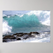 IM CURL POSTER (Vorne)