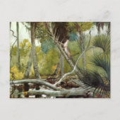 Im Dschungel Florida Winslow Homer Postkarte (Vorderseite)