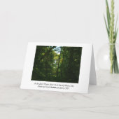 Im dunklen Wald Karte (Rückseite)