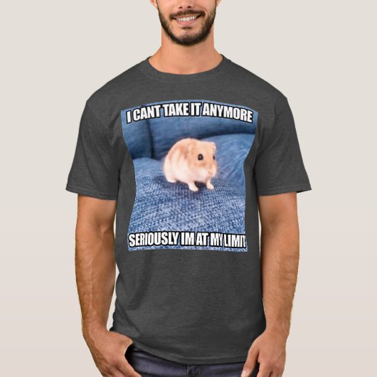 Im Ernst bin ich an meinem Limit Funny Hamster Mem T-Shirt (Vorderseite)