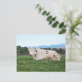 Im Feld Postkarte (Stehend Vorderseite)