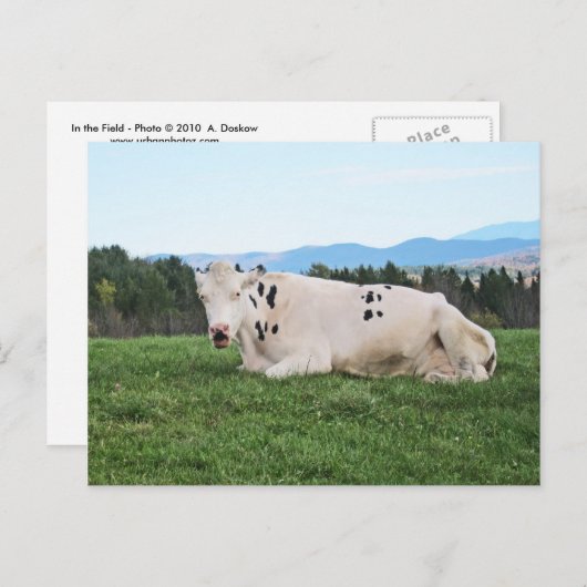 Im Feld Postkarte (Vorne/Hinten)