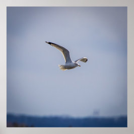 Im Flug Poster