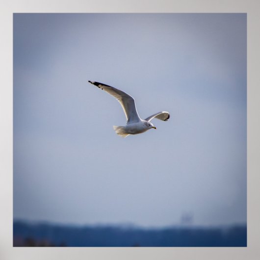 Im Flug Poster (Vorne)