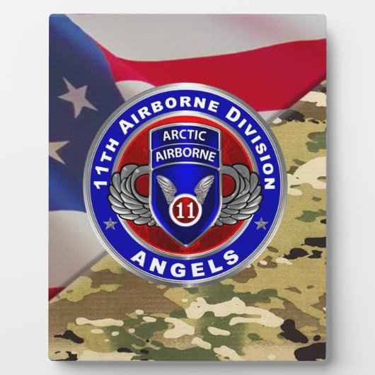 im Flugzeug Abteilung Fotoplatte (Vorderseite)