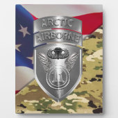 im Flugzeug Abteilung Fotoplatte (Vorderseite)