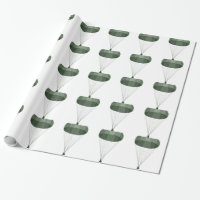 Im Flugzeug Fallschirmjäger