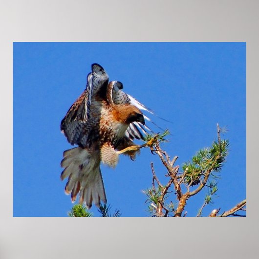 Im Flugzeug Poster (Vorne)