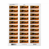 Im Flugzeug Rangers Veterans Vets LRRP (Vorne)