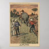 Im französischen Kongo trainierte der Elefant zu p Poster (Vorne)