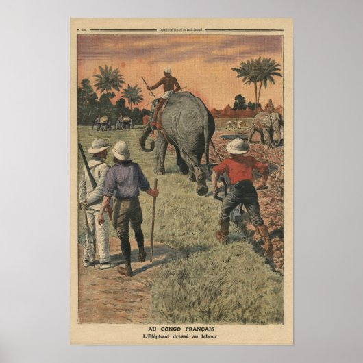 Im französischen Kongo trainierte der Elefant zu p Poster (Vorne)