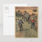 Im französischen Kongo trainierte der Elefant zu p Postkarte (Vorne/Hinten)