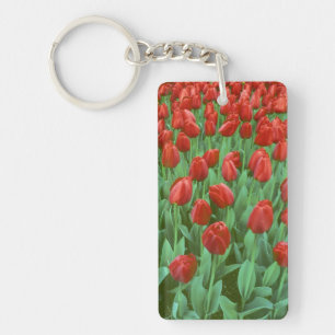 Im Frühling blüht das Tulip-Feld. Schlüsselanhänger