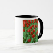 Im Frühling blüht das Tulip-Feld. Tasse (VorderseiteRechts)