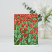 Im Frühling blüht das Tulpenfeld. Postkarte (Stehend Vorderseite)