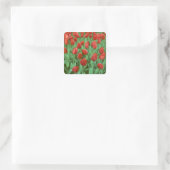 Im Frühling blüht das Tulpenfeld. Quadratischer Aufkleber (Tasche)