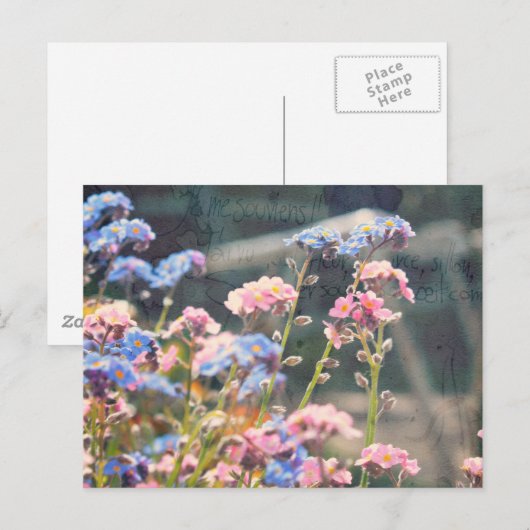 Im Früjahr Garten Postkarte (Vorne/Hinten)