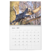 im Garten 2010 meiner Schwester Kalender (Mär 2027)