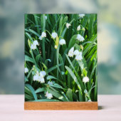 Im Garten... Acrylschild (Neutral)