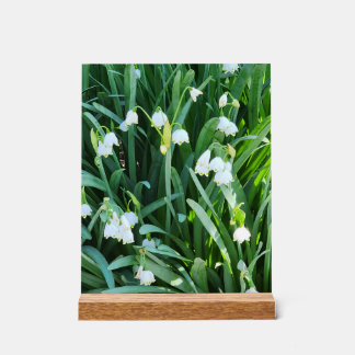 Im Garten... Acrylschild