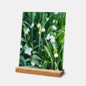 Im Garten... Acrylschild (Winkel)