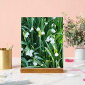 Im Garten... Acrylschild (Hochzeit)