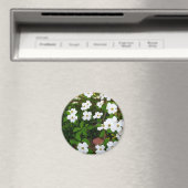 Im Garten ~ Dogwood-Blüten Magnet (In Situ (Geschirrspüler))