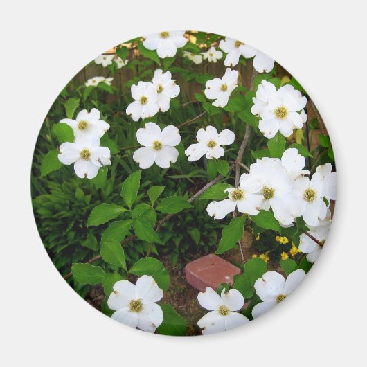 Im Garten ~ Dogwood-Blüten Magnet (Vorne)