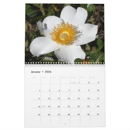 Im Garten Kalender (Jan 2026)