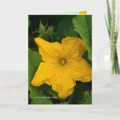 Im Garten Karte (Vorderseite)