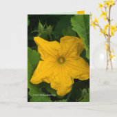 Im Garten Karte (Gelbe Blume)