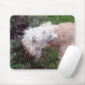 "Im Garten" Mousepad (Mit Mouse)