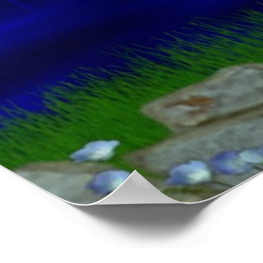 IM GARTEN POSTER (Ecke)