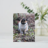 Im Garten - Postkarte (Stehend Vorderseite)