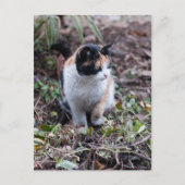 Im Garten - Postkarte (Vorderseite)