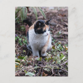 Im Garten - Postkarte