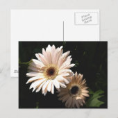 Im Garten Postkarte (Vorne/Hinten)