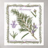 Im Garten ~ Rosemary Poster (Vorne)
